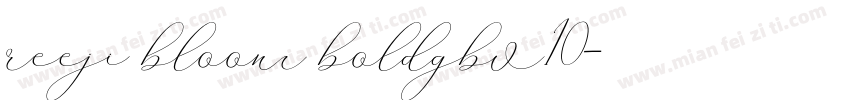 reeji bloom boldgbv10字体转换